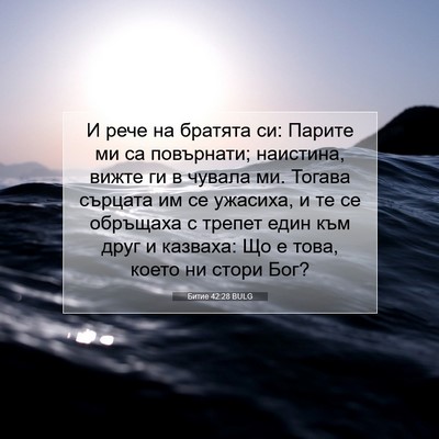 Picture 07 - Битие 42:28 BULG - И рече на братята си: - Bible Verse Picture