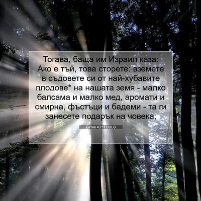 Picture 07 - Битие 43:11 BULG - Тогава, баща им Израил - Bible Verse Picture