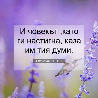 Picture 07 - Битие 44:6 BULG - И човекът ,като ги - Bible Verse Picture