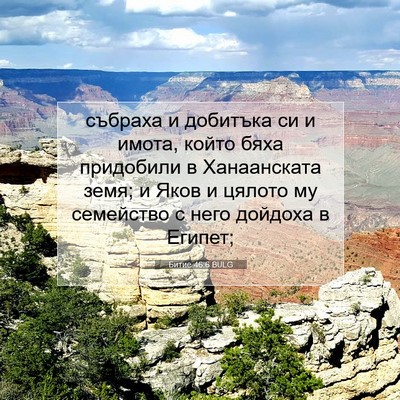 Picture 07 - Битие 46:6 BULG - събраха и добитъка си и - Bible Verse Picture