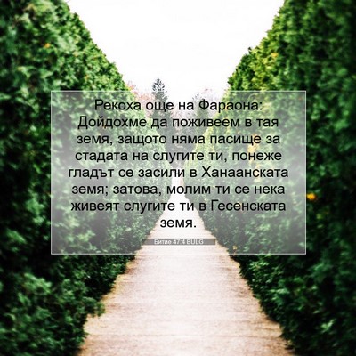 Picture 07 - Битие 47:4 BULG - Рекоха още на Фараона: - Bible Verse Picture