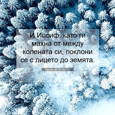 Picture 07 - Битие 48:12 BULG - И Иосиф, като ги махна от - Bible Verse Picture