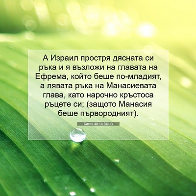 Picture 07 - Битие 48:14 BULG - А Израил простря дясната - Bible Verse Picture