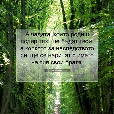 Picture 07 - Битие 48:6 BULG - А чадата, които родиш подир - Bible Verse Picture