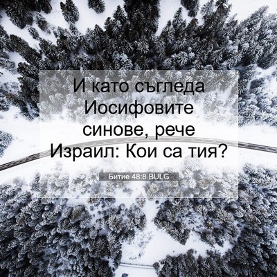 Picture 07 - Битие 48:8 BULG - И като съгледа Иосифовите - Bible Verse Picture