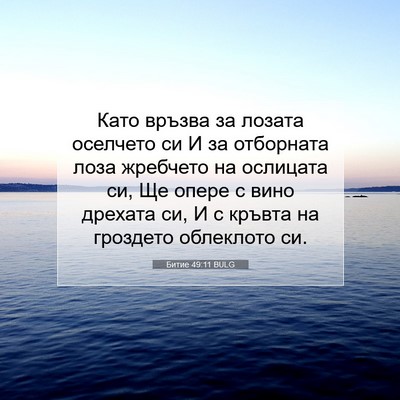 Picture 07 - Битие 49:11 BULG - Като връзва за лозата - Bible Verse Picture