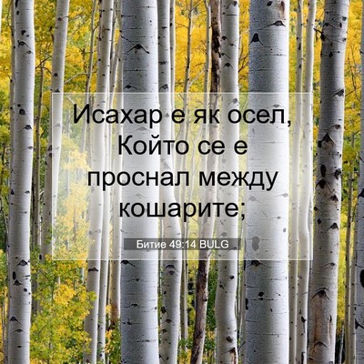 Picture 07 - Битие 49:14 BULG - Исахар е як осел, Който се е - Bible Verse Picture