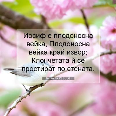 Picture 07 - Битие 49:22 BULG - Иосиф е плодоносна вейка, - Bible Verse Picture