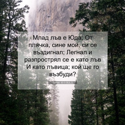 Picture 07 - Битие 49:9 BULG - Млад лъв е Юда; От плячка, - Bible Verse Picture