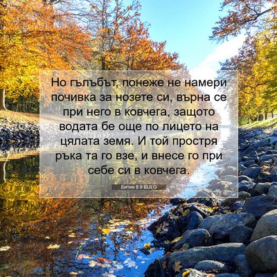 Picture 07 - Битие 8:9 BULG - Но гълъбът, понеже не - Bible Verse Picture
