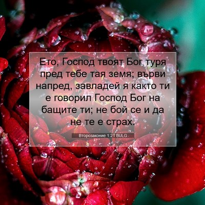 Picture 07 - Второзаконие 1:21 BULG - Ето, Господ твоят Бог туря - Bible Verse Picture