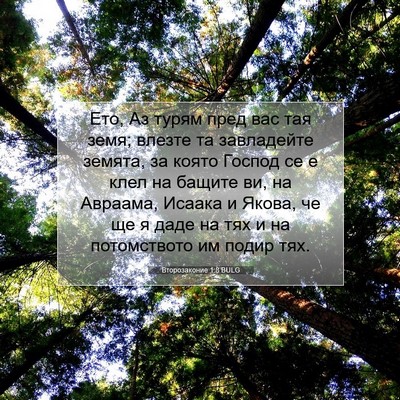 Picture 07 - Второзаконие 1:8 BULG - Ето, Аз турям пред вас тая - Bible Verse Picture