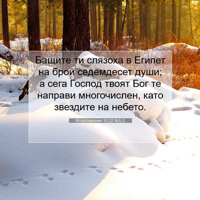 Picture 07 - Второзаконие 10:22 BULG - Бащите ти слязоха в Египет - Bible Verse Picture