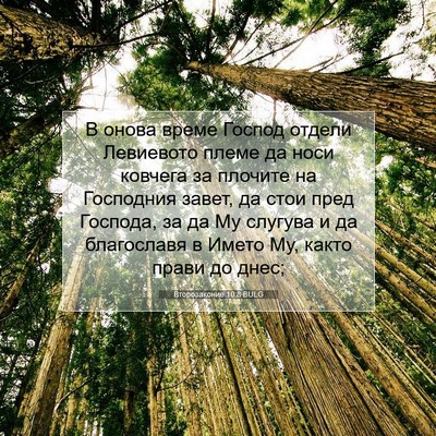 Picture 07 - Второзаконие 10:8 BULG - В онова време Господ - Bible Verse Picture