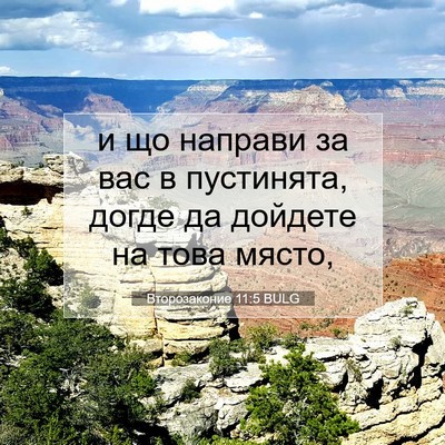 Picture 07 - Второзаконие 11:5 BULG - и що направи за вас в - Bible Verse Picture