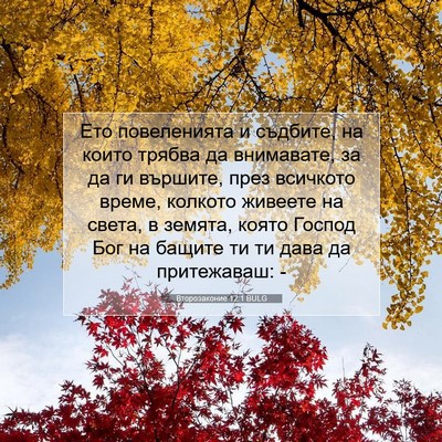 Picture 07 - Второзаконие 12:1 BULG - Ето повеленията и съдбите, - Bible Verse Picture