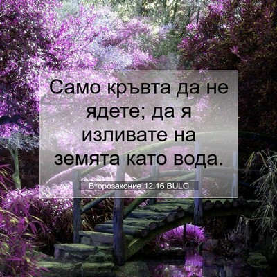 Picture 07 - Второзаконие 12:16 BULG - Само кръвта да не ядете; да - Bible Verse Picture