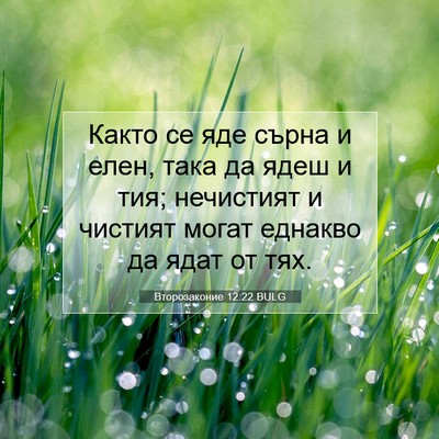 Picture 07 - Второзаконие 12:22 BULG - Както се яде сърна и елен, - Bible Verse Picture
