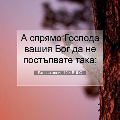 Picture 07 - Второзаконие 12:4 BULG - А спрямо Господа вашия Бог - Bible Verse Picture