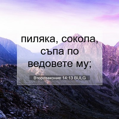 Picture 07 - Второзаконие 14:13 BULG - пиляка, сокола, съпа по - Bible Verse Picture