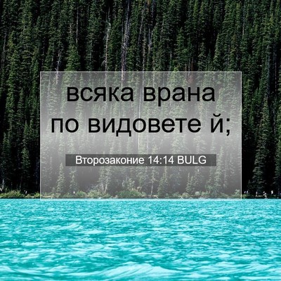 Picture 07 - Второзаконие 14:14 BULG - всяка врана по видовете - Bible Verse Picture