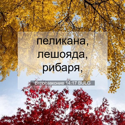 Picture 07 - Второзаконие 14:17 BULG - пеликана, лешояда, - Bible Verse Picture