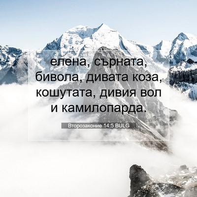 Picture 07 - Второзаконие 14:5 BULG - елена, сърната, бивола, - Bible Verse Picture