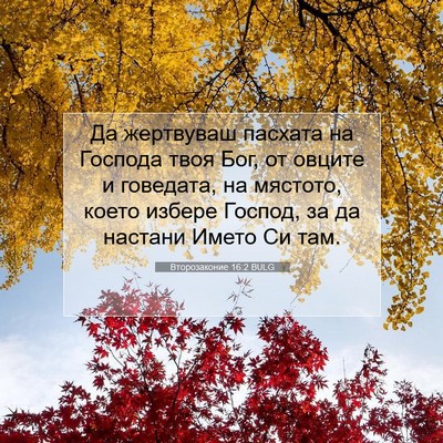 Picture 07 - Второзаконие 16:2 BULG - Да жертвуваш пасхата на - Bible Verse Picture