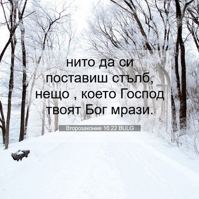 Picture 07 - Второзаконие 16:22 BULG - нито да си поставиш стълб, - Bible Verse Picture