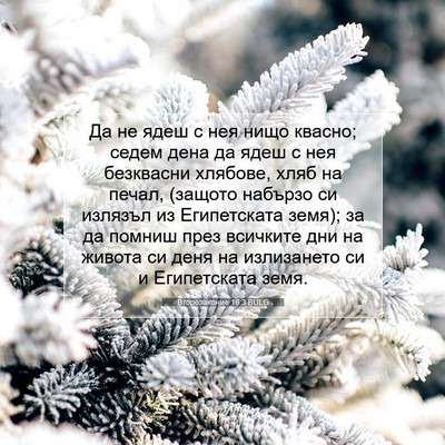 Picture 07 - Второзаконие 16:3 BULG - Да не ядеш с нея нищо - Bible Verse Picture