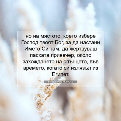 Picture 07 - Второзаконие 16:6 BULG - но на мястото, което избере - Bible Verse Picture