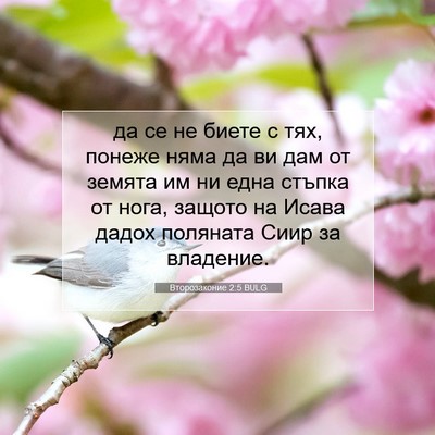 Picture 07 - Второзаконие 2:5 BULG - да се не биете с тях, понеже - Bible Verse Picture