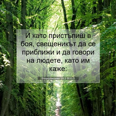 Picture 07 - Второзаконие 20:2 BULG - И като пристъпиш в боя, - Bible Verse Picture