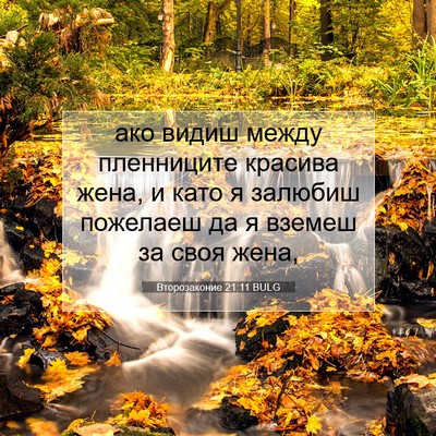 Picture 07 - Второзаконие 21:11 BULG - ако видиш между пленниците - Bible Verse Picture