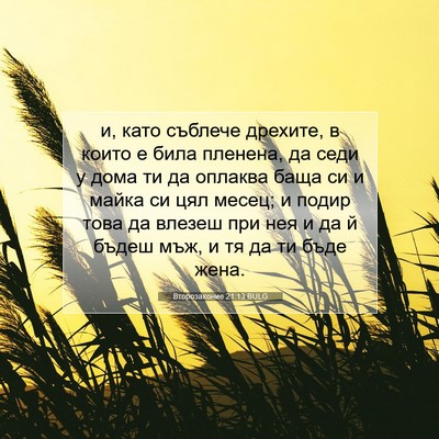 Picture 07 - Второзаконие 21:13 BULG - и, като съблече дрехите, в - Bible Verse Picture
