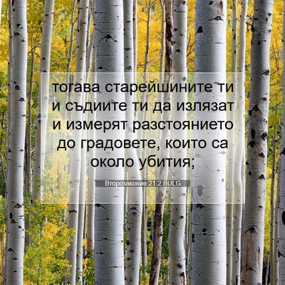 Picture 07 - Второзаконие 21:2 BULG - тогава старейшините ти и - Bible Verse Picture