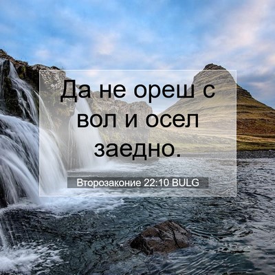 Picture 07 - Второзаконие 22:10 BULG - Да не ореш с вол и осел - Bible Verse Picture
