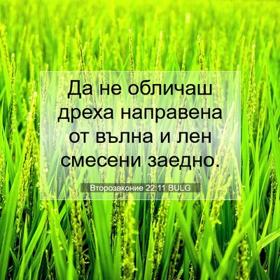 Picture 07 - Второзаконие 22:11 BULG - Да не обличаш дреха - Bible Verse Picture
