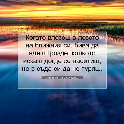 Picture 07 - Второзаконие 23:24 BULG - Когато влезеш в лозето на - Bible Verse Picture