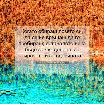 Picture 07 - Второзаконие 24:21 BULG - Когато обираш лозето си, да - Bible Verse Picture