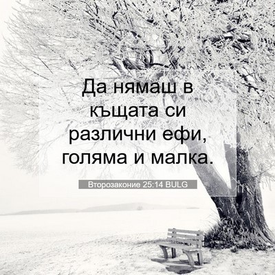 Picture 07 - Второзаконие 25:14 BULG - Да нямаш в къщата си - Bible Verse Picture