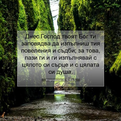 Picture 07 - Второзаконие 26:16 BULG - Днес Господ твоят Бог ти - Bible Verse Picture