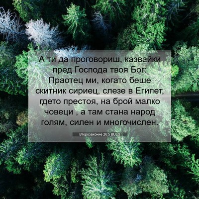 Picture 07 - Второзаконие 26:5 BULG - А ти да проговориш, - Bible Verse Picture