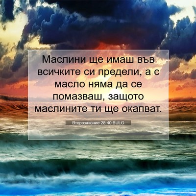 Picture 07 - Второзаконие 28:40 BULG - Маслини ще имаш във - Bible Verse Picture