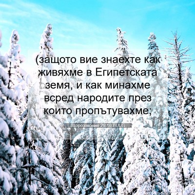 Picture 07 - Второзаконие 29:16 BULG - (защото вие знаехте как - Bible Verse Picture