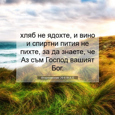Picture 07 - Второзаконие 29:6 BULG - хляб не ядохте, и вино и - Bible Verse Picture