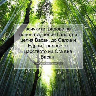 Picture 07 - Второзаконие 3:10 BULG - всичките градове на - Bible Verse Picture