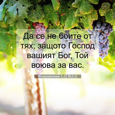 Picture 07 - Второзаконие 3:22 BULG - Да се не боите от тях; - Bible Verse Picture