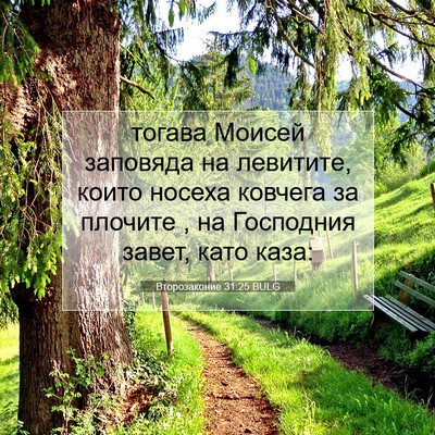 Picture 07 - Второзаконие 31:25 BULG - тогава Моисей заповяда на - Bible Verse Picture