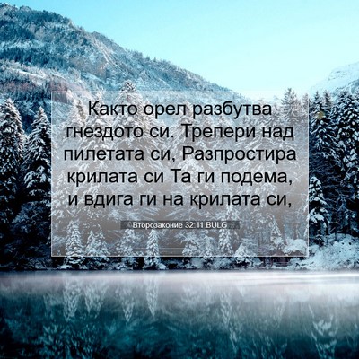Picture 07 - Второзаконие 32:11 BULG - Както орел разбутва - Bible Verse Picture